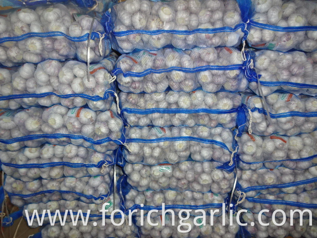 Best Quality Fresh Garlic 5 0cm